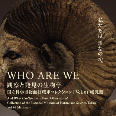 WHO ARE WE 　観察と発見の生物学　国立科学博物館収蔵庫コレクション｜Vol.01　哺乳類